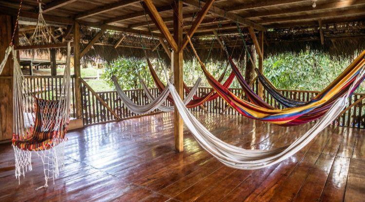 Caiman Lodge - Cuyabeno Nature Amazon Tour Zewnętrze zdjęcie