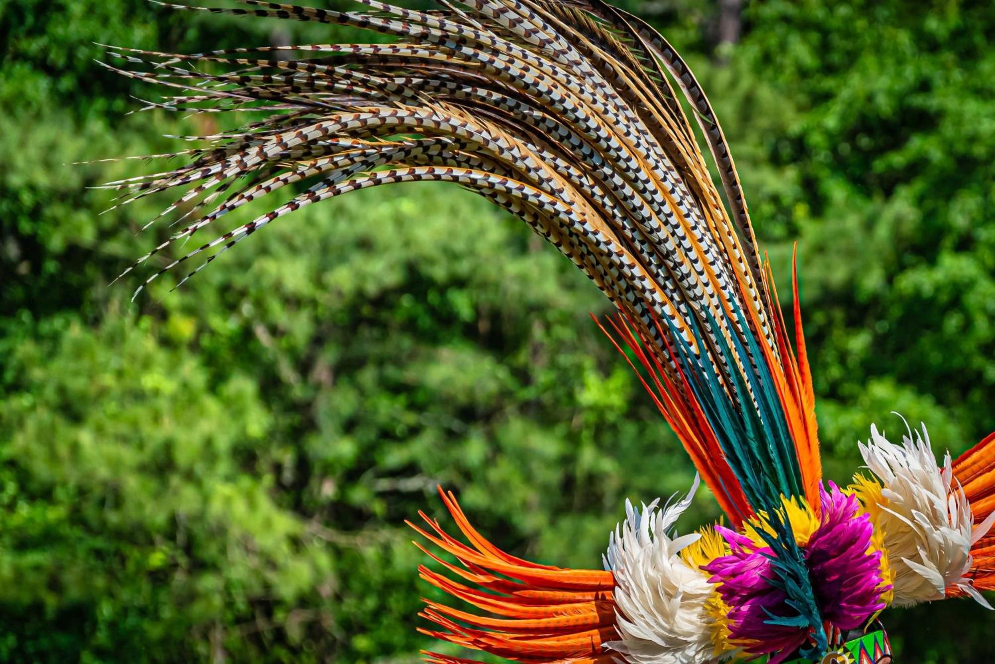 Caiman Lodge - Cuyabeno Nature Amazon Tour Zewnętrze zdjęcie